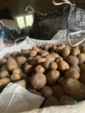 Sprzedam ziemniaki odmiany Soraya, kaliber 4+, luzem lub bb, ilości tirowe, cena do uzgodnienia, zainteresowanych zapraszam do kontaktu pod...