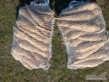 Sprzedam pietruszkę na brudno układana po 5kg świeżo kopana i ziemniaki żółte worek 15kg kaliber od 45+ około 5ton zostalo