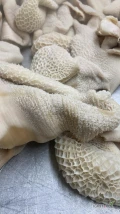 Przedżołądki wołowe, oczyszczone, parzone i mrożone. Pakowane w karton wyłożony folia.
