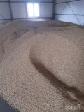 Sprzedam Soje 25 ton
