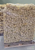 Sprzedam ziemniaki, z badaniami fito, odmiana Lilly kal. 45+ , Luzem lub pakowane w worki 15 kg, ilości tirowe.
