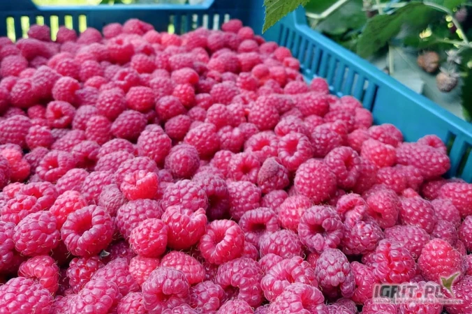 /images/posts/2025/05/2015787/ctTXWZm0XbBS85lQCsNMEv9GMu9udWz1WcjL81G0.jpeg