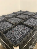 Witam posiadam na dziś 7 ton Diuka zainteresowanych zapraszam .