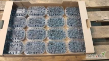 Borówka 16x250g w kartonie, bardzo ładna, świeżo rwana