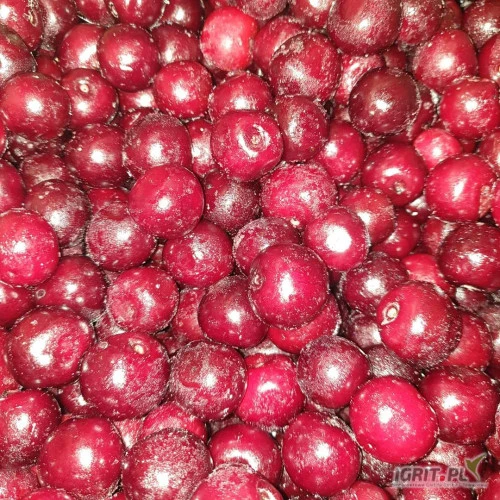 /images/posts/2025/02/1978868/55R3JDzAmH0m7K43QDQtorYAuAv30G1beFfhgvmE.jpeg