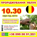 РОБОТА ДЛЯ УКРАЇНЦІВ В БЕЛЬГІЇ
