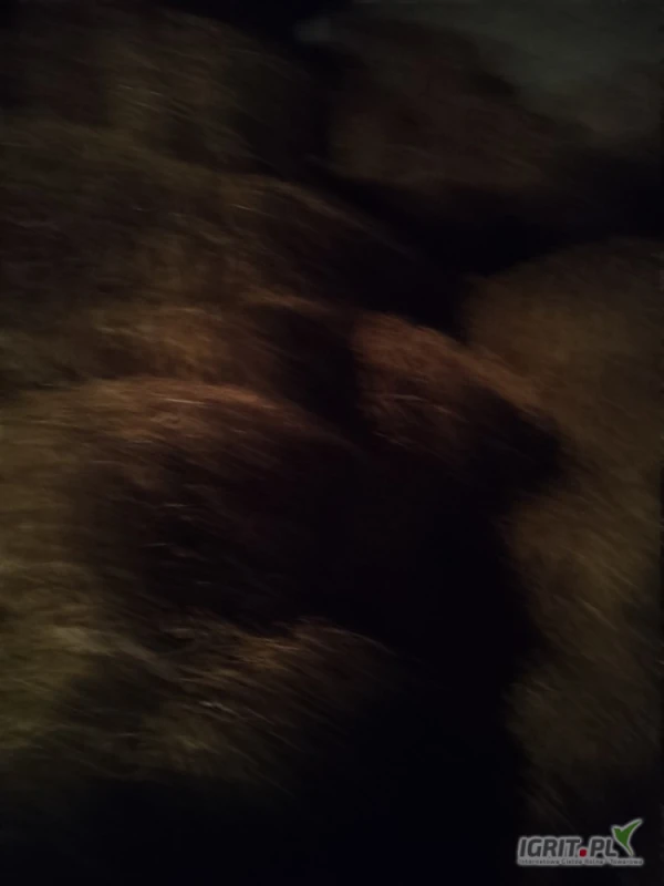 /images/posts/2025/05/2015909/dR2dwvhX4MYyqtx8omaKbxHATeGrZKIxWpj0PE8p.jpeg