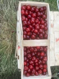 Sprzedam deserową wiśnie debreceńską bez ogonka w łubiankach po 3kg. Ładna, gruba wiśnia