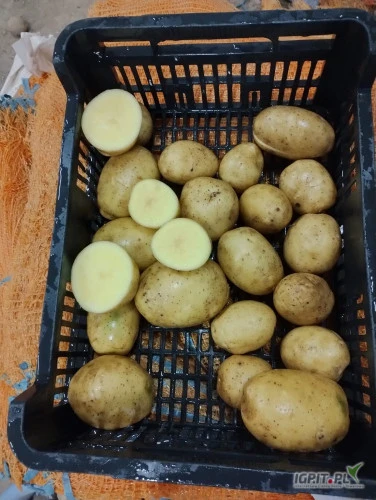 /images/posts/2024/09/1913696/i46hj4QpYu8lkOxIbhK2PXKwxZPWCBoIkhhJZ5tR.jpeg