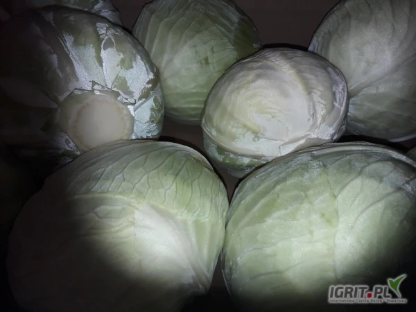 /images/posts/2025/05/2016061/JIZNWilSLmwsrLU8LaT7GRK1e6yQB1XcIYCix5Qv.jpeg