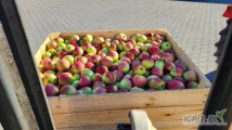 SPRZEDAM 20 TON LIGOLA. KA + FRESH. 