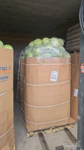 Witam posiadam kapuste białą pakowaną w karton box kaliber od 1- 3.5/4 kg ilości tir zainteresowanych zapraszam .