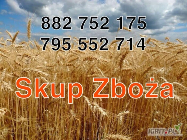 /images/posts/2025/05/2016098/Hh4PEyL9ubfwNQXwp2uP30yLaMGTcF7YAATcj6d2.jpeg