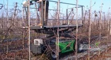 Posiadamy wykwalifikowany personel pracowniczy gotowy podjąć pracę "od zaraz" przy cięciu drzew owocowych, sortowni, magazynach,...