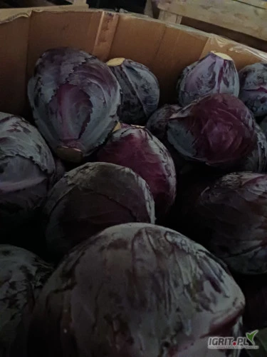 /images/posts/2025/02/1971462/JejETKFSWqz0nlq0ErgeT80VLxJWFaO6FZwYf3fF.jpeg