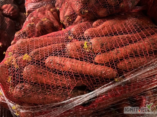 /images/posts/2025/03/1993881/Ih2oqFvjXt5VLmqAcRRtuu3UOBNtNJ0SCZks6O8k.jpeg