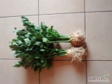Sprzedam seler na włoszczyznę z nacia waga od 300 gram cena do uzgodnienia 