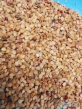 Sprzedam NASIONA ASHWAGANDHA - Żeń-szeń indyjski Withania