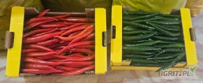 Sprzedam - PAPRYKA CHILI czerwona i zielona + PAPRYKA RAMIRO czerwona / Kapia ( jutro tzn. 03-12-2024 r. wyjazd auta z Turcji). Ilości...