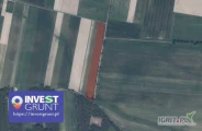 [5,82 ha] przetarg nieograniczony na 5-letnią dzierżawę gruntów rolnych [powiat ostrowski, woj. wielkopolskie] użytek RIV,ŁVI (5...
