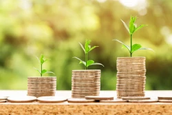 Jakie będą ubezpieczenia rolnicze w 2020 roku?