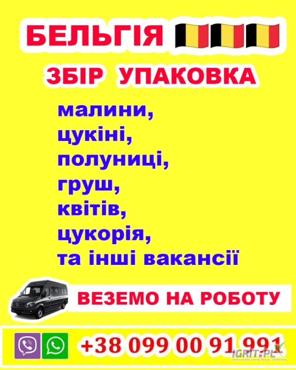 /images/posts/2025/04/2004508/h4nIgweYRq5w0ODEiE6WavBWJBwFsxpXoagqY4mj.jpeg
