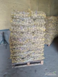 Sprzedam ziemniaki żółte kaliber +45worek 15kg ilości paletowe. Więcej informacji pod numerem 730860040 