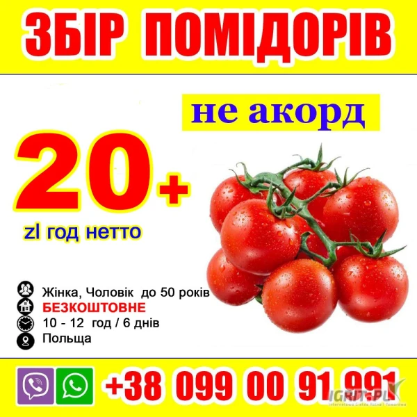 /images/posts/2025/04/2003060/NAoPOMajuwo2kMXDjVq7xvxHrKEwRBB7j4EGwJUD.jpeg
