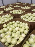 Kapusta biała marketowa 1-3.5 kg.
