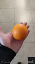 Witam, oferuję odmianę Valencia w kalibrze 5 - karton 15 kg ilości paletowe.