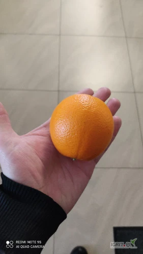 /images/posts/2025/01/1968128/BD1KQCV8uJdfxQSGpqYEXmYIz0IoYpjatKdaVT4z.jpeg