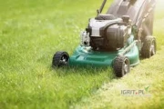 Witam szukam pracy dodatkowej na jutro w niedzielę z opłaty na koniec roboty u osoby prywatnej czy u rolnika przy koszeniu podwórka...