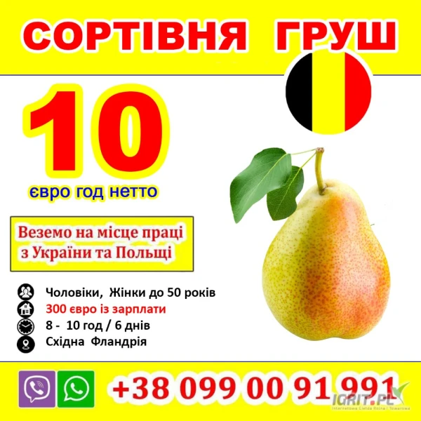 /images/posts/2025/04/2003967/sx3Hc8XIrwbqTe1JgVB4yLz1xQ26gg6uMghS3xvg.jpeg