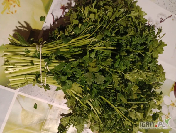 /images/posts/2025/01/1967418/ru3u9308aoPq5tRM8oadIH4WzNP5KSs73wC3xv6x.jpeg