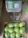 Sprzedam Sałatę lodową, mini rzymską, rzymską, Pak choi. Jestem producentem, posiadam  oraz .