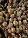 Sprzedam 100ton centro 45+ odsorty po markecie TIRowe luzem tel. 601564836
