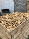 Sprzedam ziemniaka odmiany Soraya, kaliber +5, ilości tirowe, luzem lub worek raszlowy szyty 15 kg, cena do uzgodnienia, zainteresowanych...