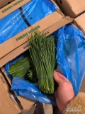 Sprzedam - SZCZYPIOREK Cienki Kenia. Dostępny w PL 400-500 kg . 