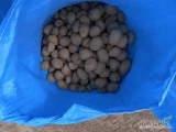 Sprzedam 300kg sadzeniaka GALA 