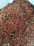 Sprzedam ok. 10 ton peluszki po kombajnie. Towar suchy nieazrobaczony, odmiana nieznana, Spakowana w big bagi po 1100 kg.