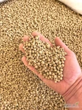 Wapno Granulowane - Węglan Wapnia i Wapno Magnezowe 500kg Big Bag z Transportem!
