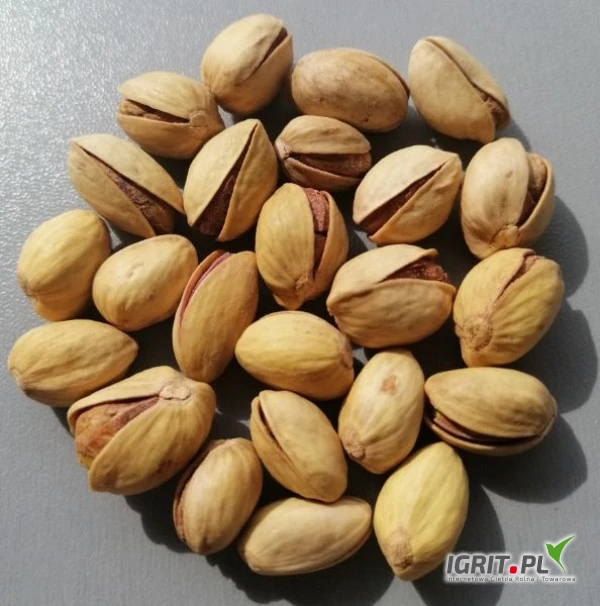 /images/posts/2021/03/1326412/J9BvsjowsNHCkIBfwPk0G74IQmeI2LyQp2Pmxp4n.jpeg