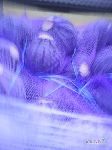 /images/posts/2025/02/1978217/Nez7hiotzCBeBz3GgaSt6wmdDWbkzG2k0MdowbIv.jpeg