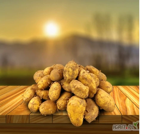 /images/posts/2025/03/1990080/7Z4Pz0wZXVnZejeGckwgnuJnjMfWg3r92OnY2S4i.jpeg