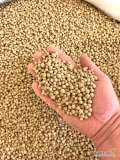 Wapno Granulowane - Węglan Wapnia i Wapno Magnezowe 500kg Big Bag z Transportem!
