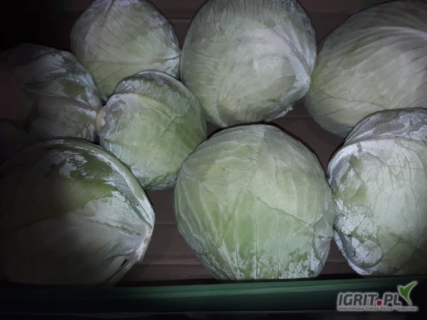 /images/posts/2025/06/2016973/IOfYrlxSOgpMeN0lKTQjPHm1O2QM3DqRDLHKQjBP.jpeg