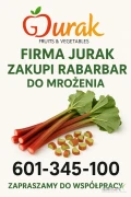 Firma JURAK zakupi każdą ilość rabarbaru na mrożenie. Gwarantujemy najwyższą cenę!!! Zapewniamy opakowanie oraz odbiór towaru z...