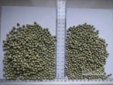 Sprzedam groch zielony ptasi w dwóch rozmiarach. Minimum logistyczne 1 tona. Możesz połączyć na palecie różne produkty. Telefon 510...