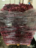 Sprzedam tone buraka czerwonego odmiana Wodan , buraczek myty obierany ręcznie , workowany w worki 10kg więcej inf pod numerem tel...