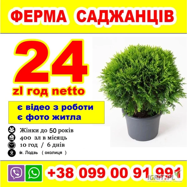 /images/posts/2025/04/1994856/ZTU5NcNwlV1qNMYzFvNGzBor7S0lIBE3tDNp3Yii.jpeg